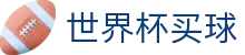 2026FIFA世界杯买球官方门户 - 安全加密通道